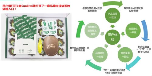 数字农业服务流于表面，基地数字化建设如何迈向深入与实效？