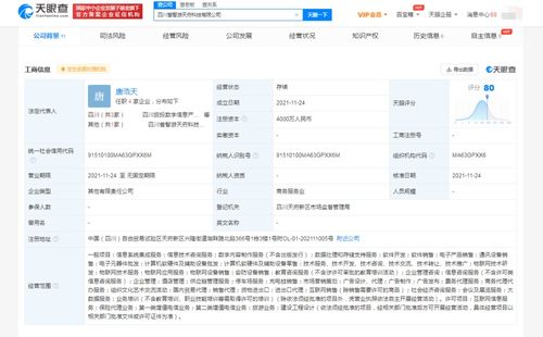 数字内容制作服务的未来 创新、效率与个性化并重